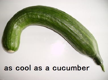 cool as a cucumber