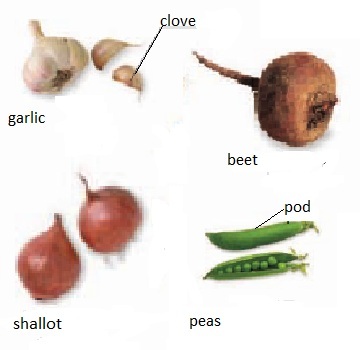 овощи на английском